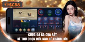 Cược Đá Gà Cựa Sắt - Kê Thủ Chọn Cửa Nào Để Thắng Lớn